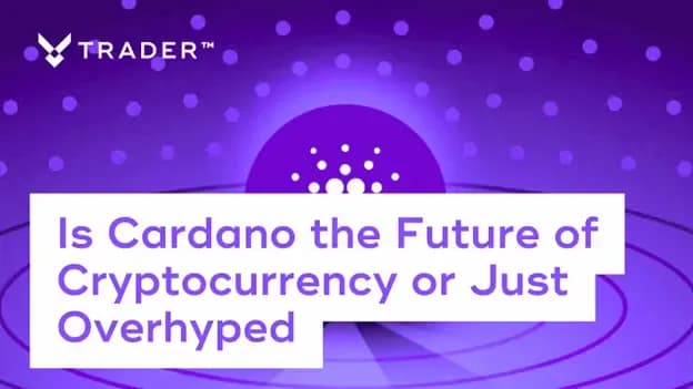 ADA advantages and disadvantages