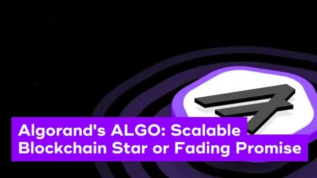 ALGO advantages and disadvantages