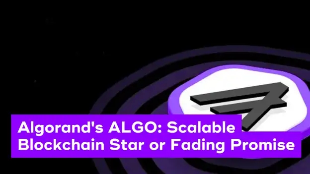 ALGO news article
