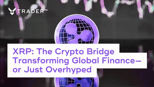 XRP news article