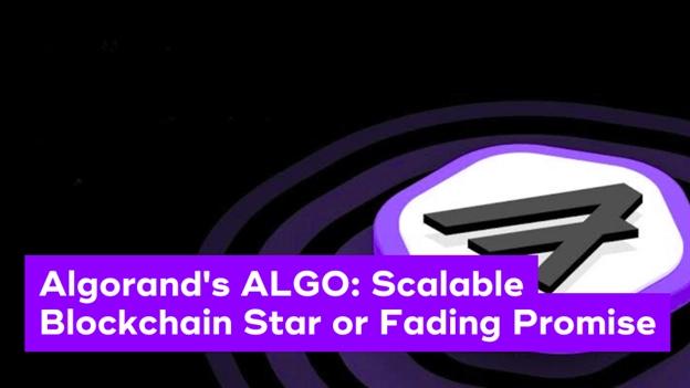 ALGO news article