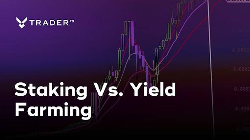 Staking vs. Yield Farming: Unlocking Passive Income in Crypto
