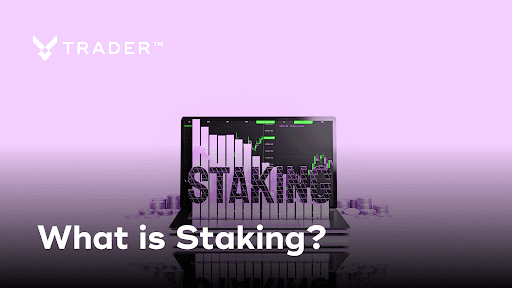 Cryptocurrency Staking: A Comprehensive Guide