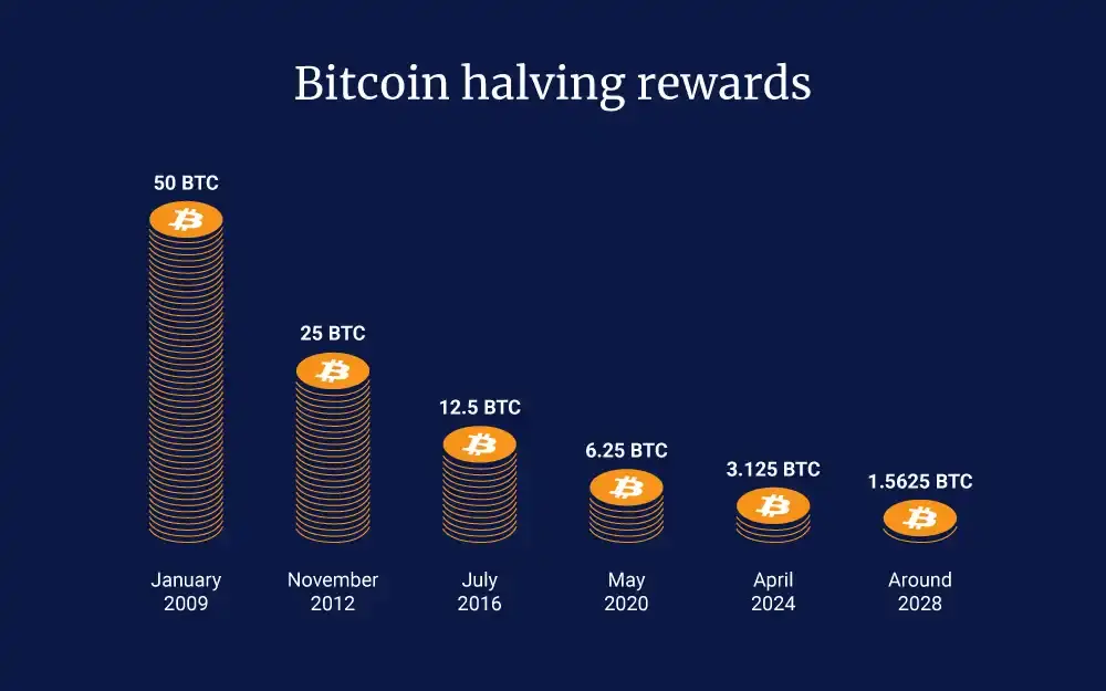 Bitcoin halving events and rewards